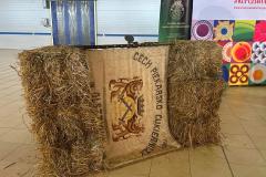 IMG-20261016-WA0020