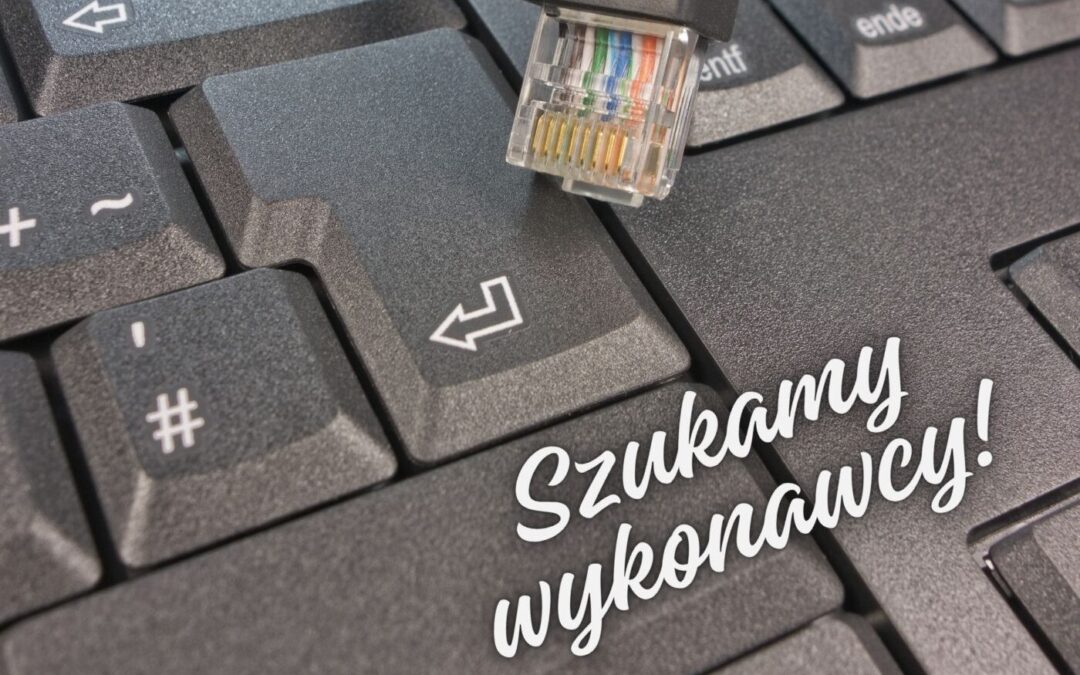 Szukamy wykonawcy!